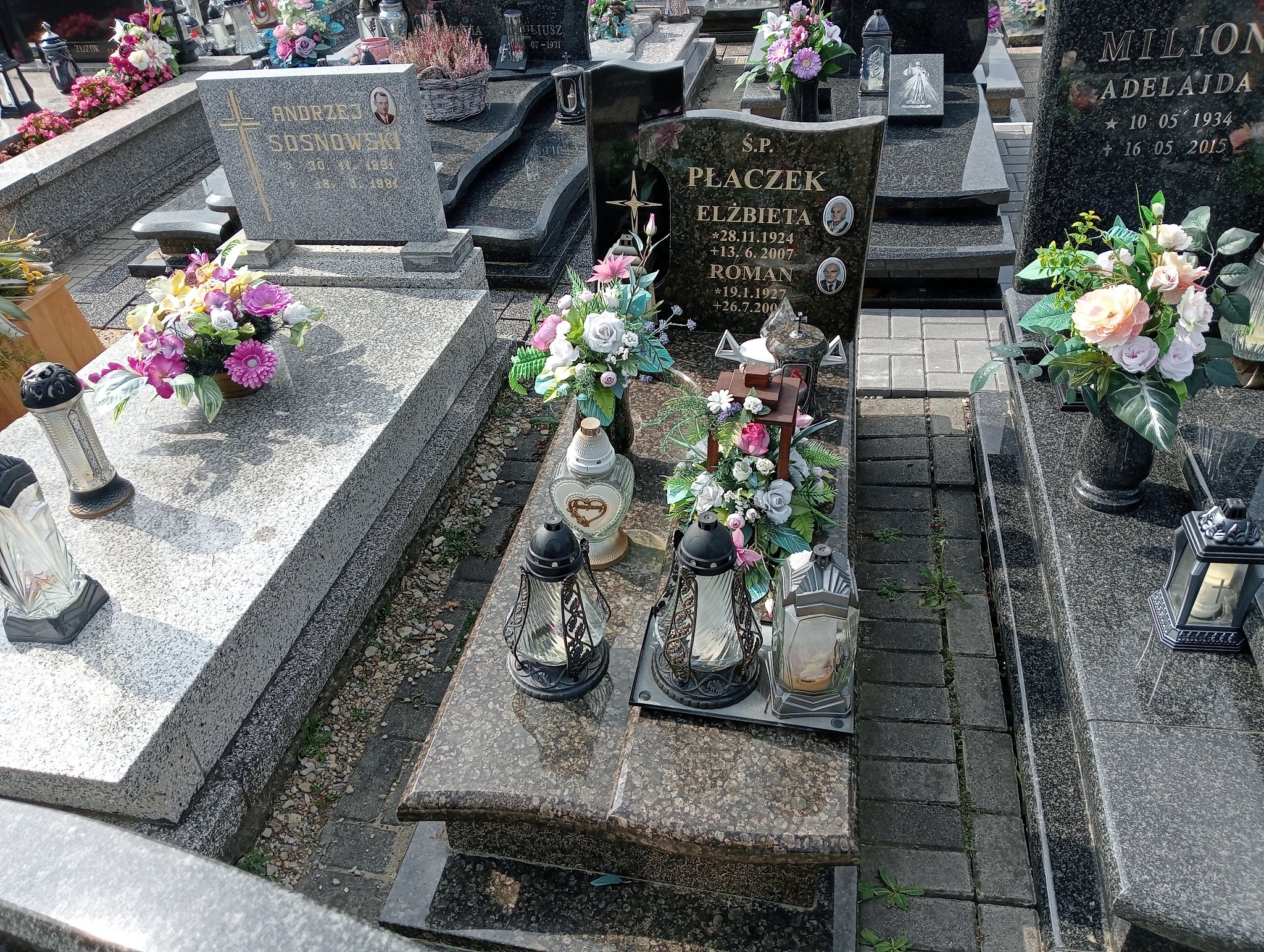 Grób Alojzy Płaczek