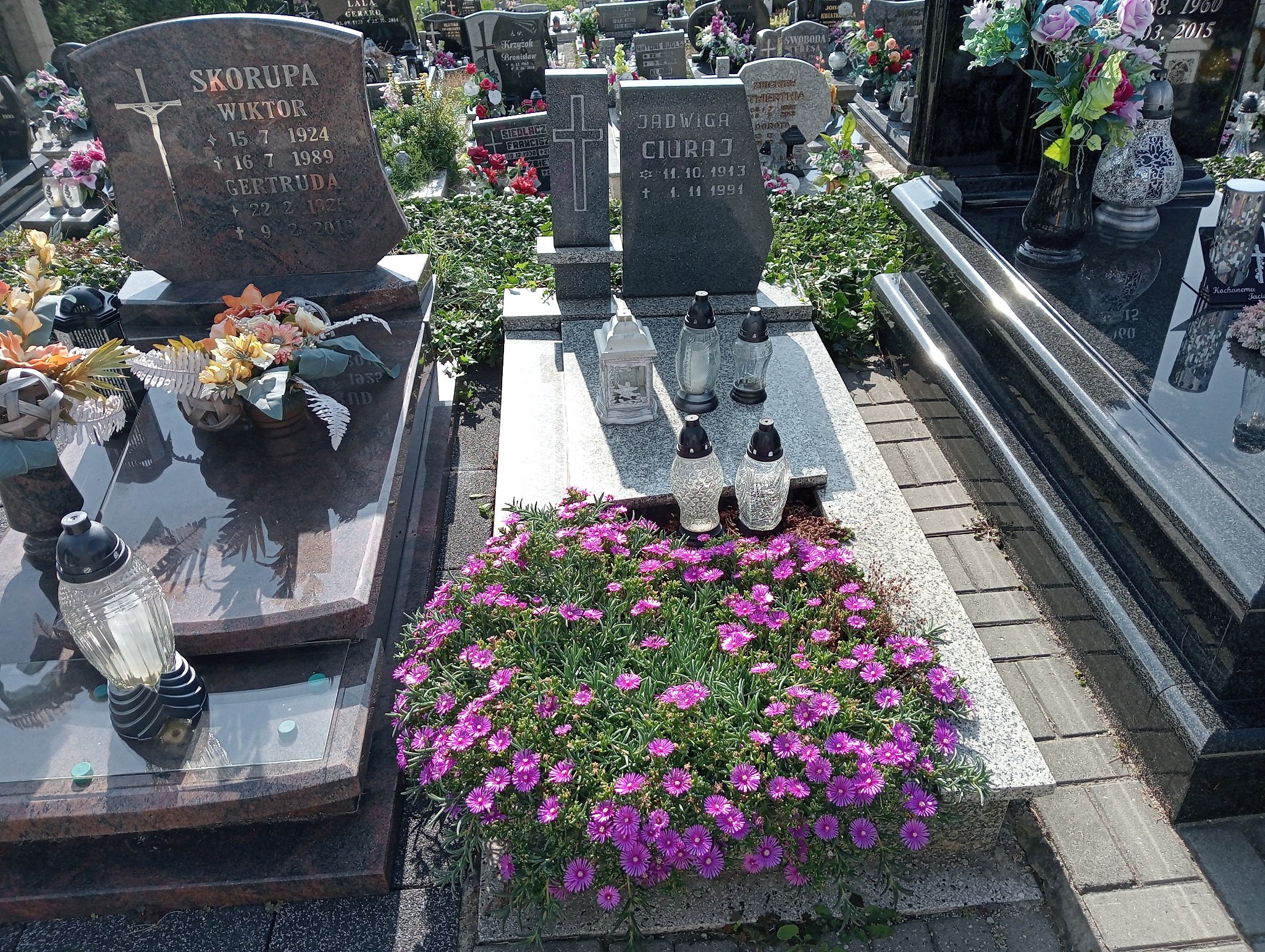 Grób Jadwiga Ciuraj